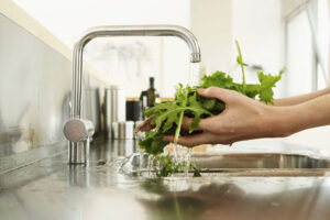 Read more about the article Things to Consider when Buying Garbage Disposal