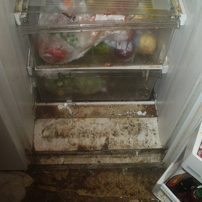 fridge molds